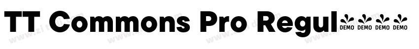 TT Commons Pro Regul字体转换 TT Commons Pro Regul字体转换